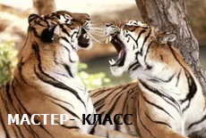 Мастер-класс по работе с конфликтами