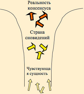 scheme2.jpg
